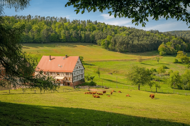 farm and ranch insurance